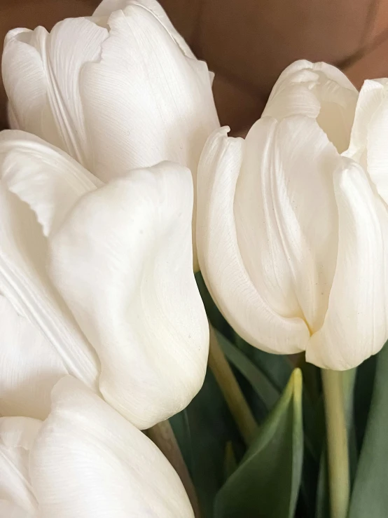 a vase of white flowers on top of a table