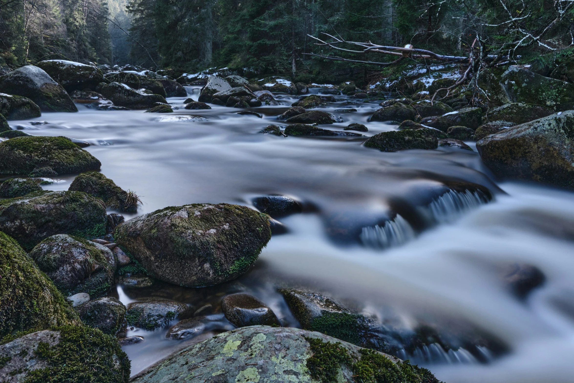 a river is flowing through some forest with rocks