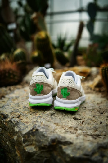 green shamrock on white sneakers and rock