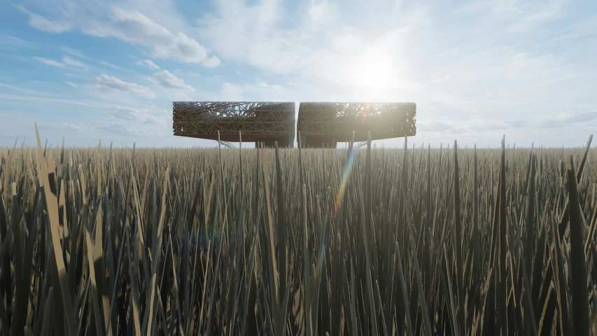 two screens stand in the middle of tall grasses