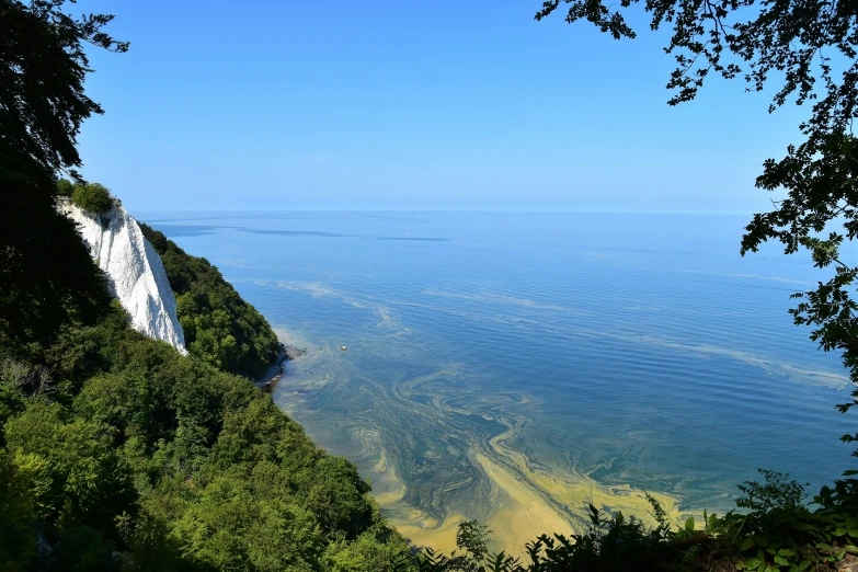 a body of water surrounded by trees