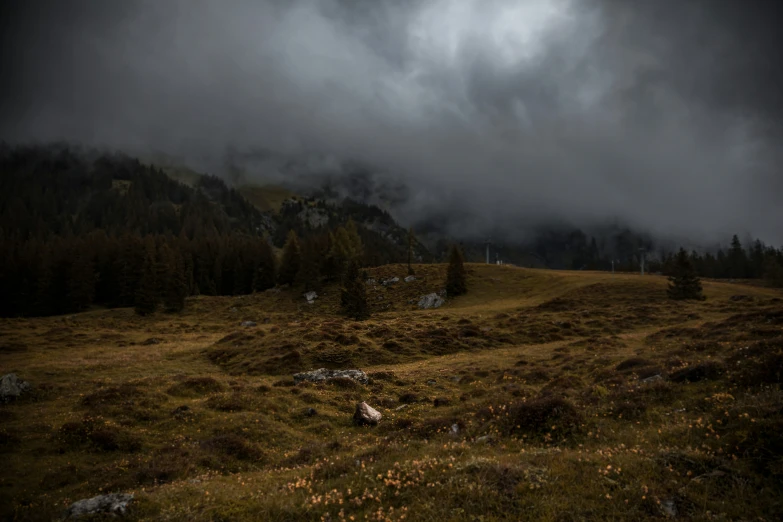 a field with grass and trees under the clouds