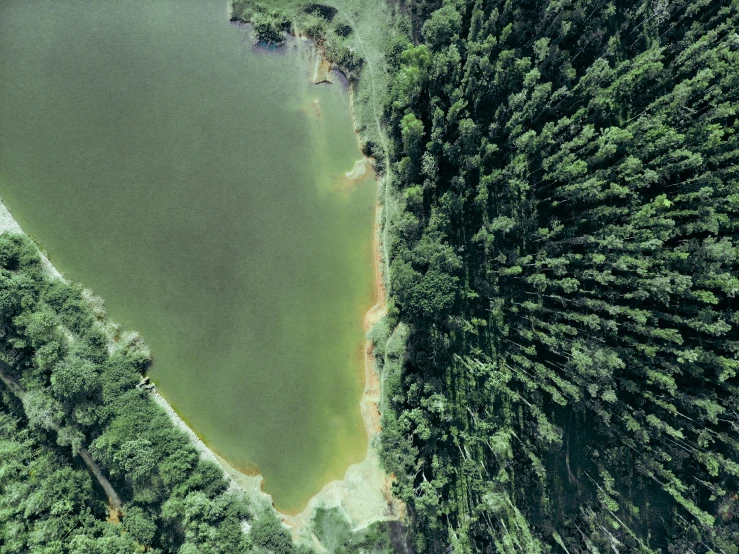 a lake surrounded by trees is pictured from above