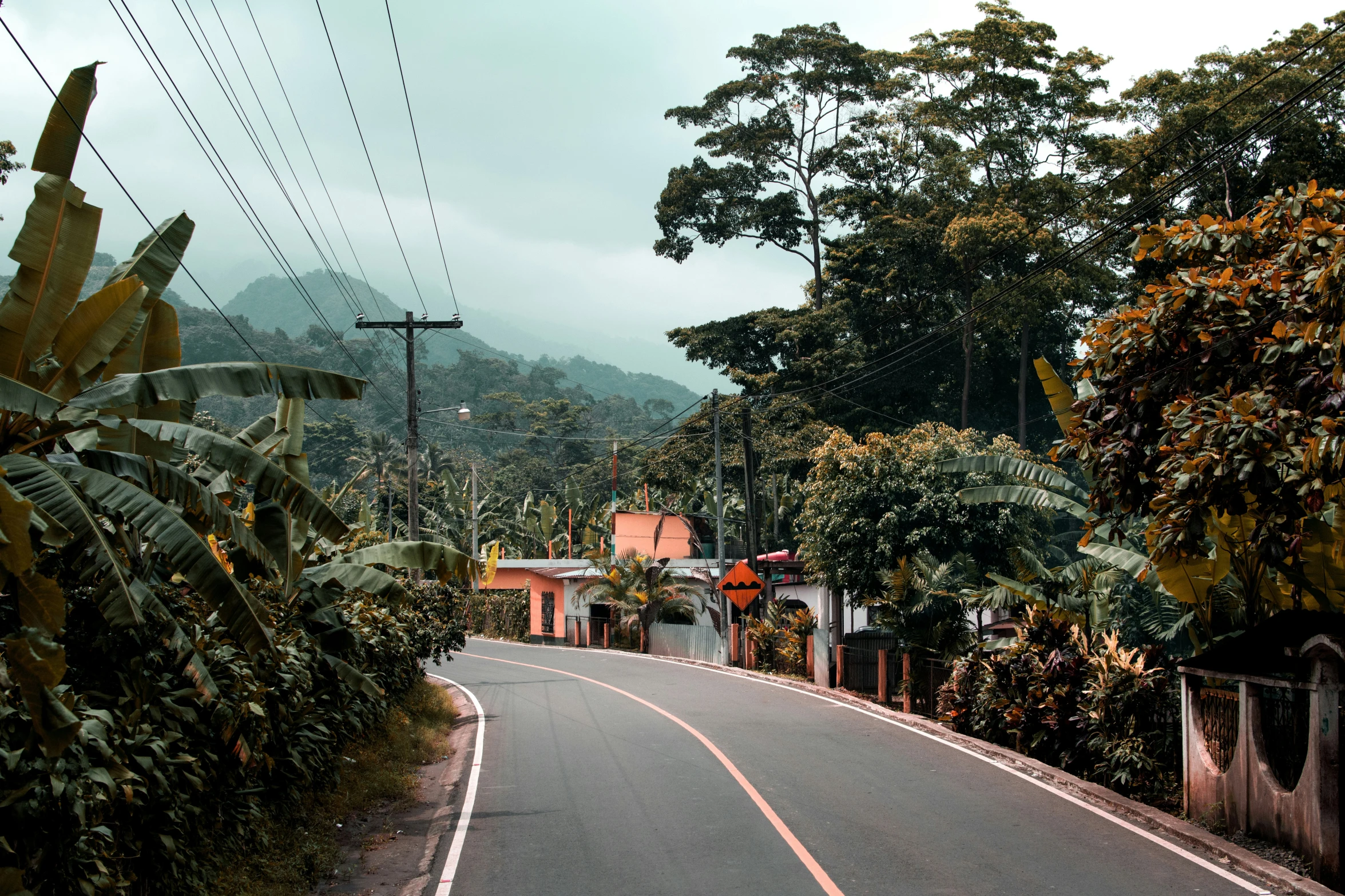 a street in the countryside on a misty day