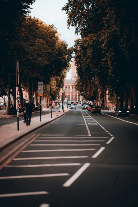 a street with lots of trees and some traffic