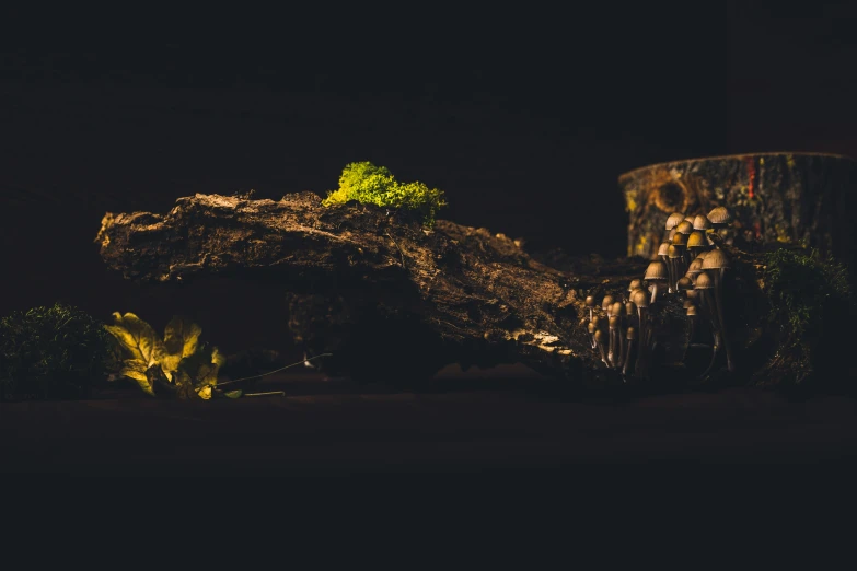 a pile of logs sitting on top of a dirt field