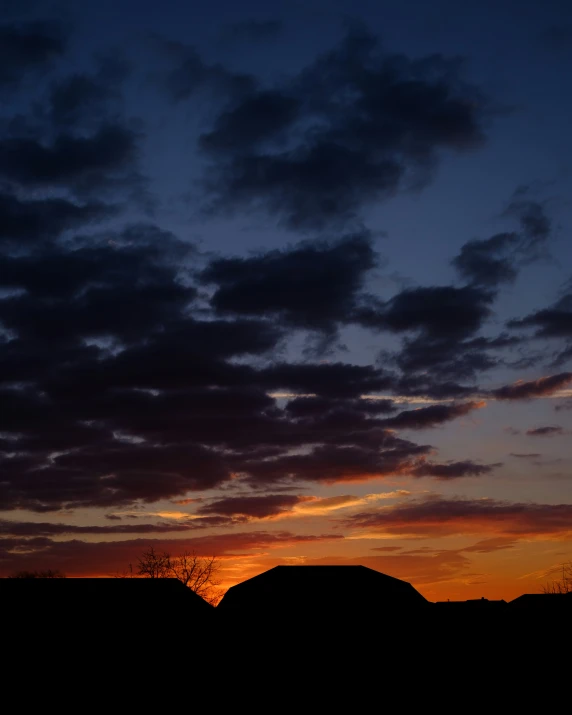 some birds are sitting under a sunset in the sky