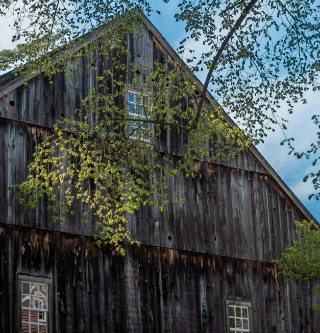 a barn with a tree outside that has fallen on it