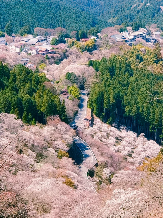 the mountainside of the town below are empty