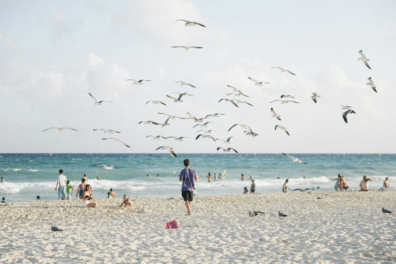 birds flying over the ocean and crowded beach