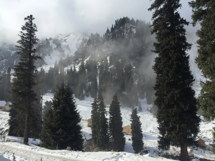 a view of a large mountain near trees in the snow