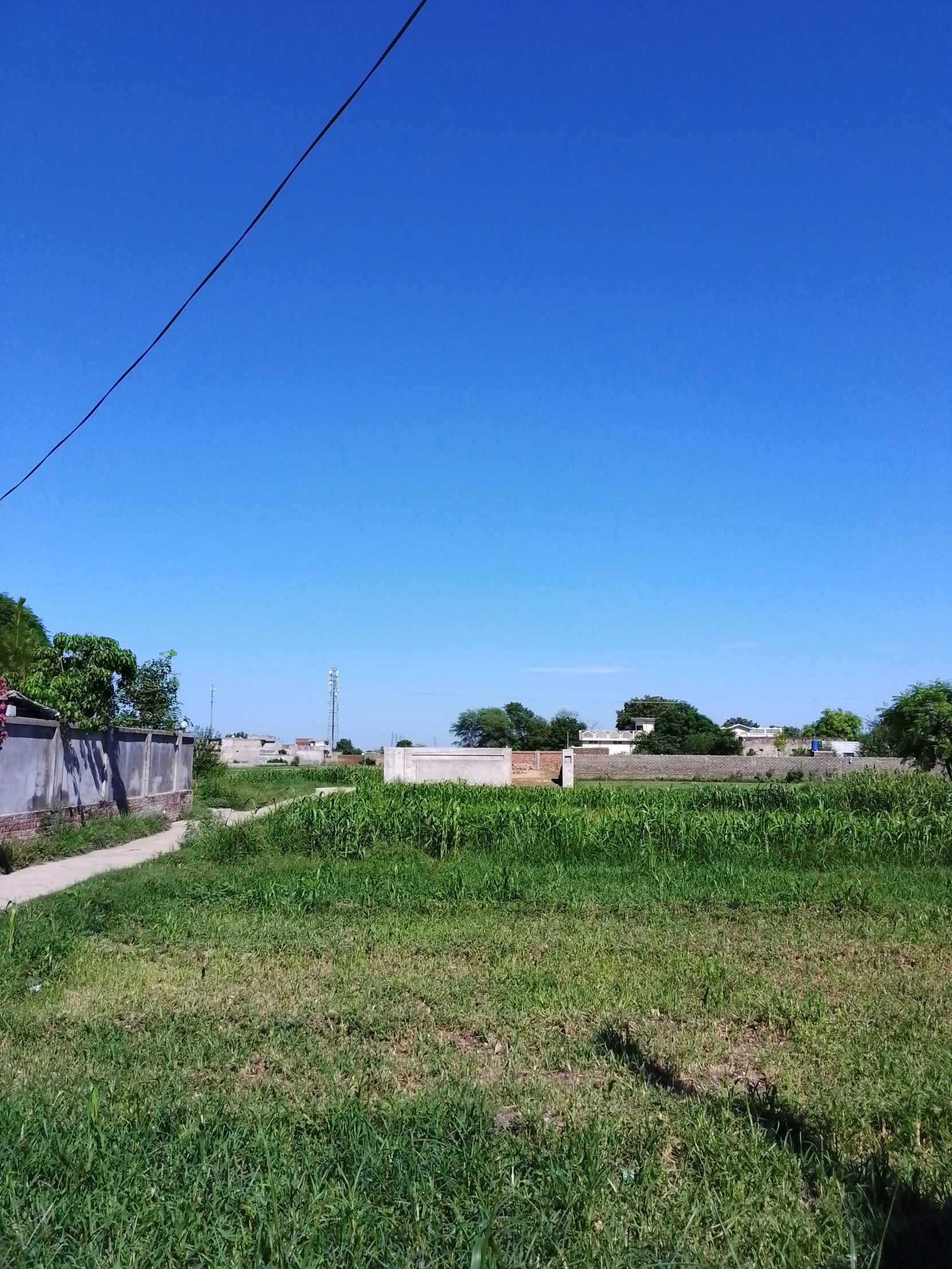 a vacant lot next to some buildings is featured here