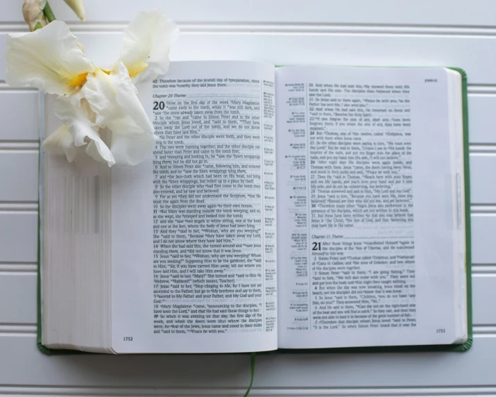 an open book with flowers sitting on top of it