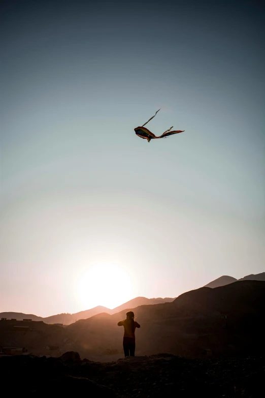 a man standing on top of a hill watching a bird fly overhead