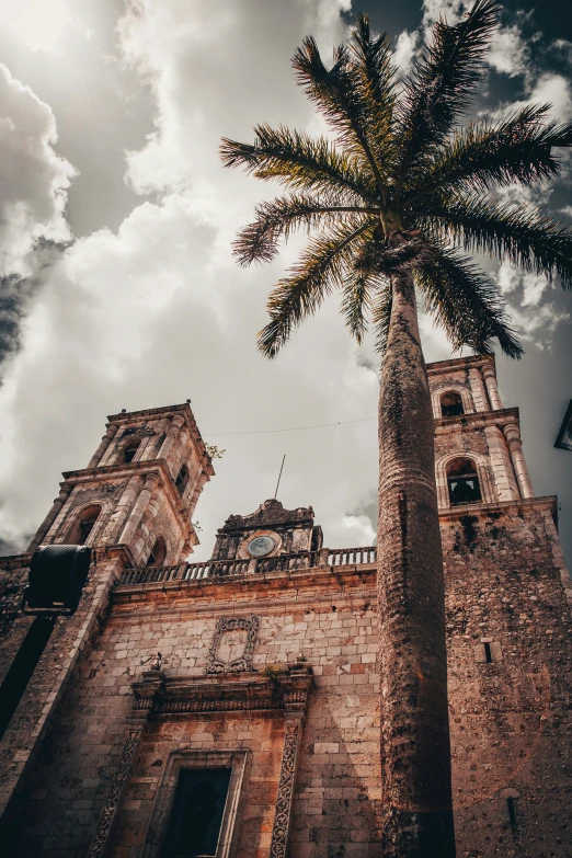 looking up at an old tower with a palm tree