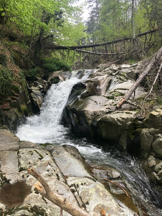 a stream flowing between two rocks in the woods