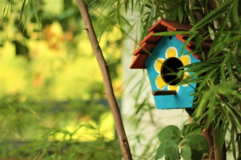 a small bird house sits outside beside a plant