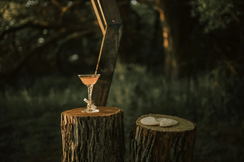 two wooden logs and an alcohol glass on the left and a candle holder on the right