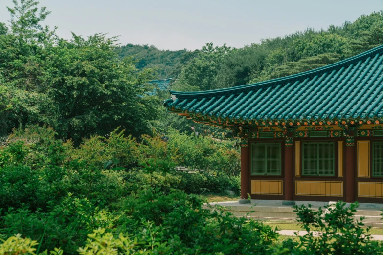 a tall pagoda in the middle of a lush green forest