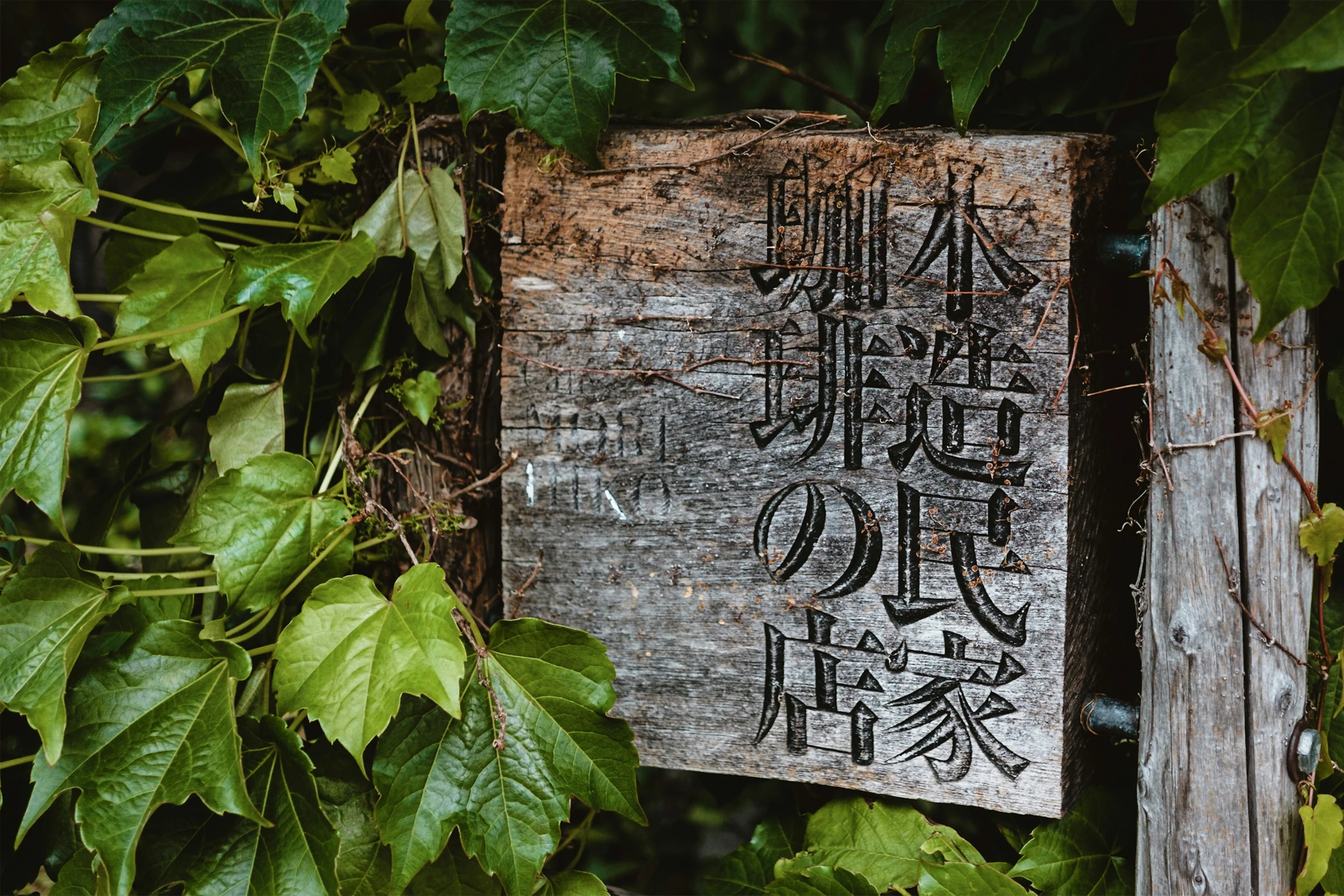 a close up of a sign on a wooden pole