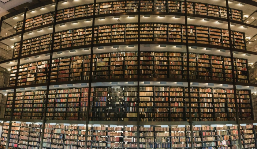 many shelves in a huge liry with lots of books