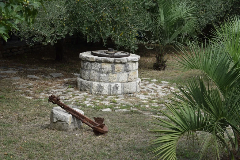 stone oven sitting in grassy field next to palm tree