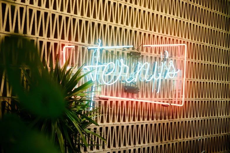 a lit neon sign hangs above a potted plant