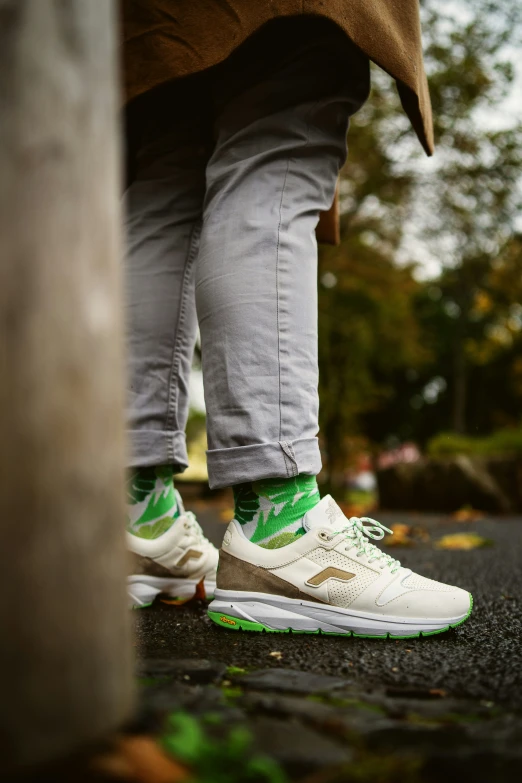 the back legs and shoes of a person walking in a park