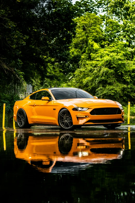 an orange ford mustang parked on top of a wet street