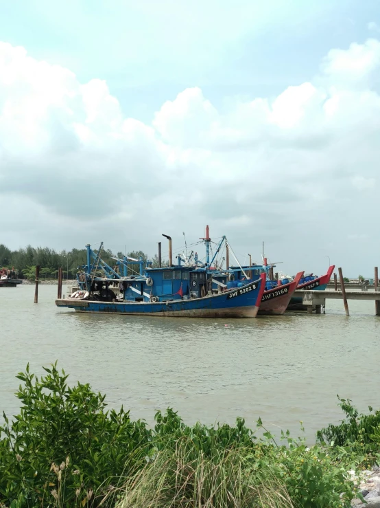 two boats sitting on the water with trees and shrubs