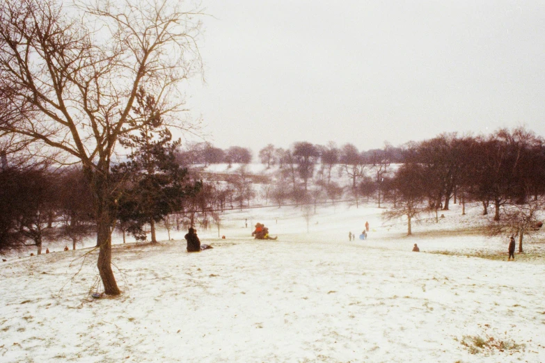 snow covers the ground in a park with people playing