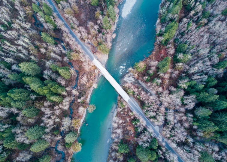 an aerial view shows a river flowing through a wooded area