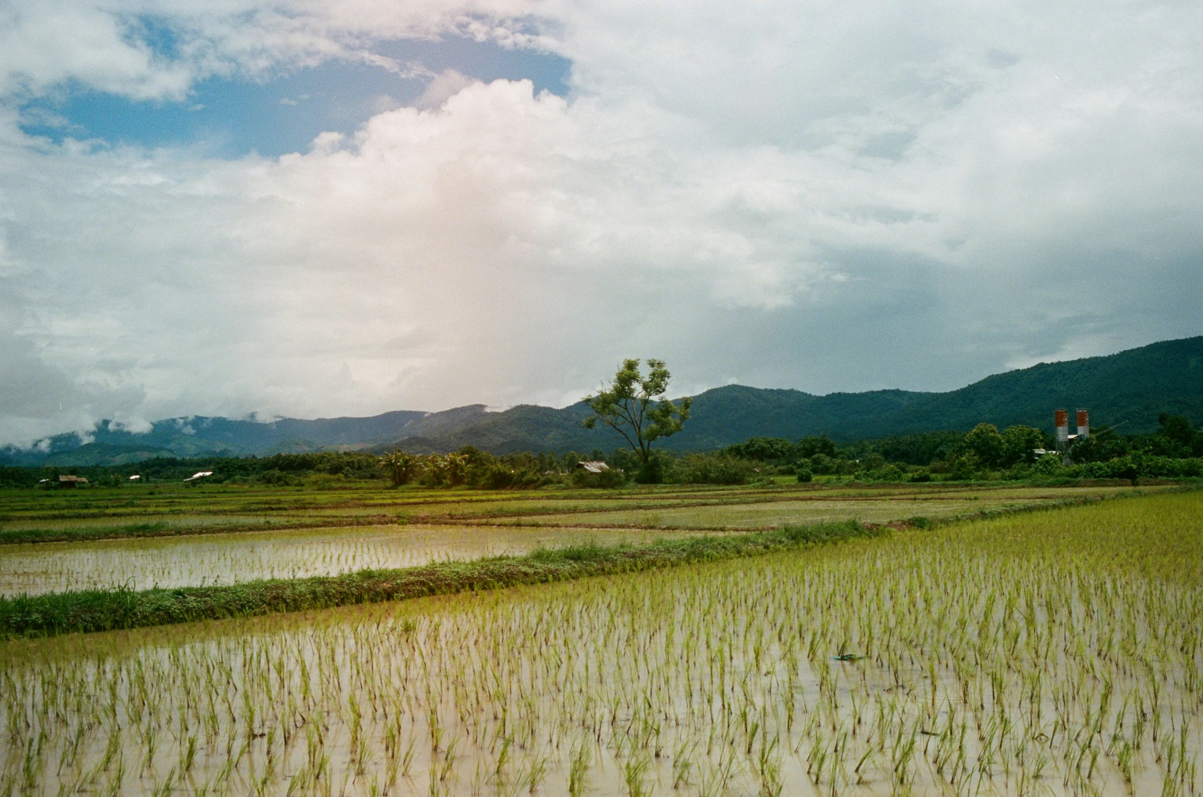 a landscape with hills, fields and clouds