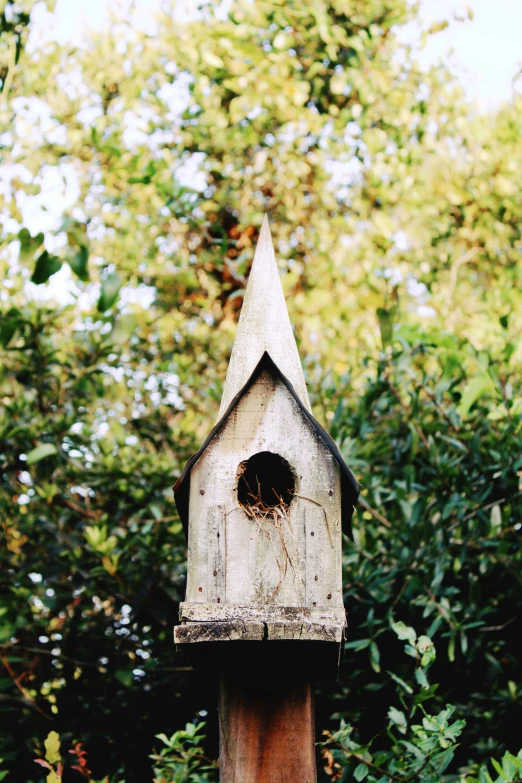 bird house built into a wood post in the woods