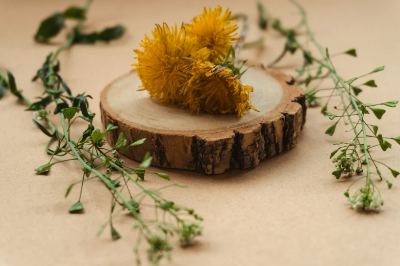 a tiny piece of wood with a flower on top