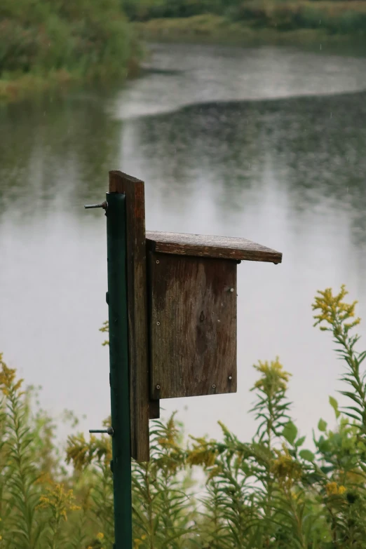 a wooden birdhouse in a tree next to a lake