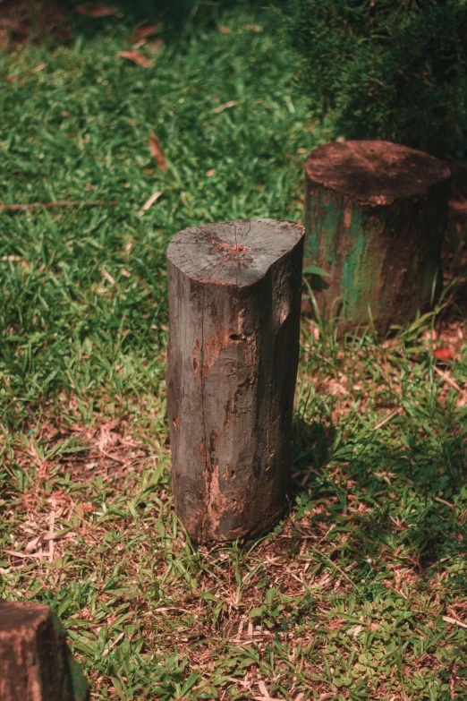 two pieces of wooden stand in the grass