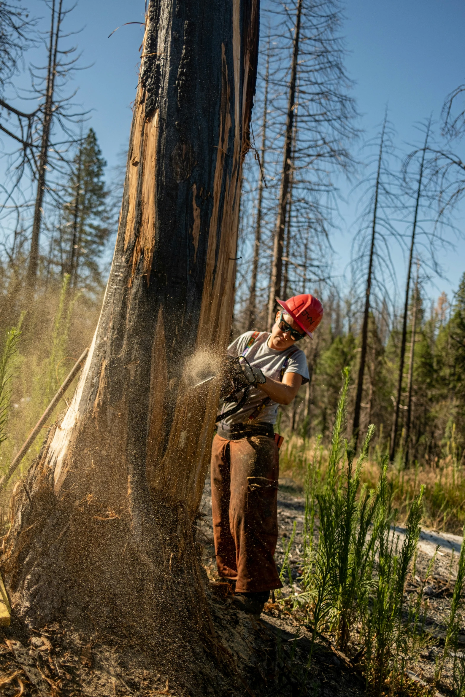 a person spraying water from a fire hydrant