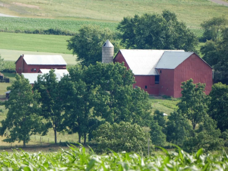 some red barn with green trees in the background