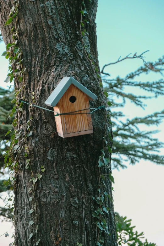 a birdhouse hanging off the side of a tree