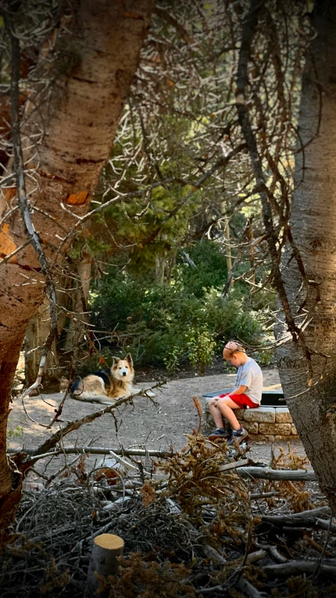 a man and dog are sitting on the stone bench in a forest