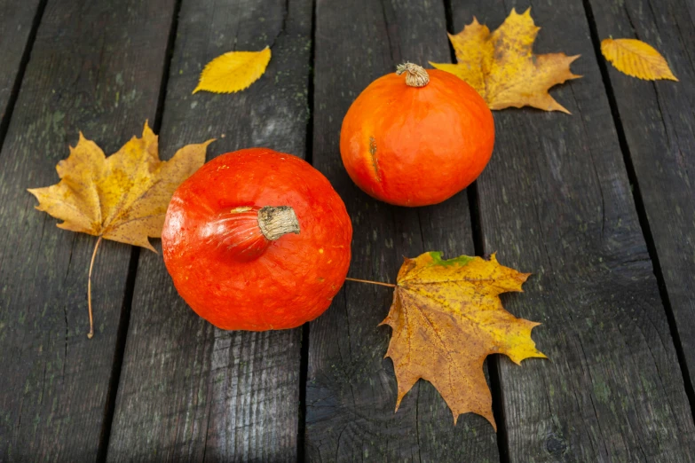 there are two red gourds and some leaves