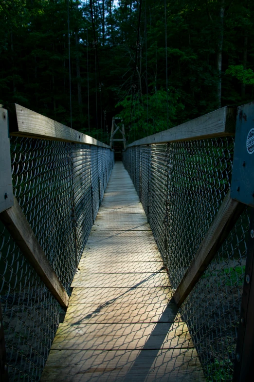 the bridge has two sides open in the forest