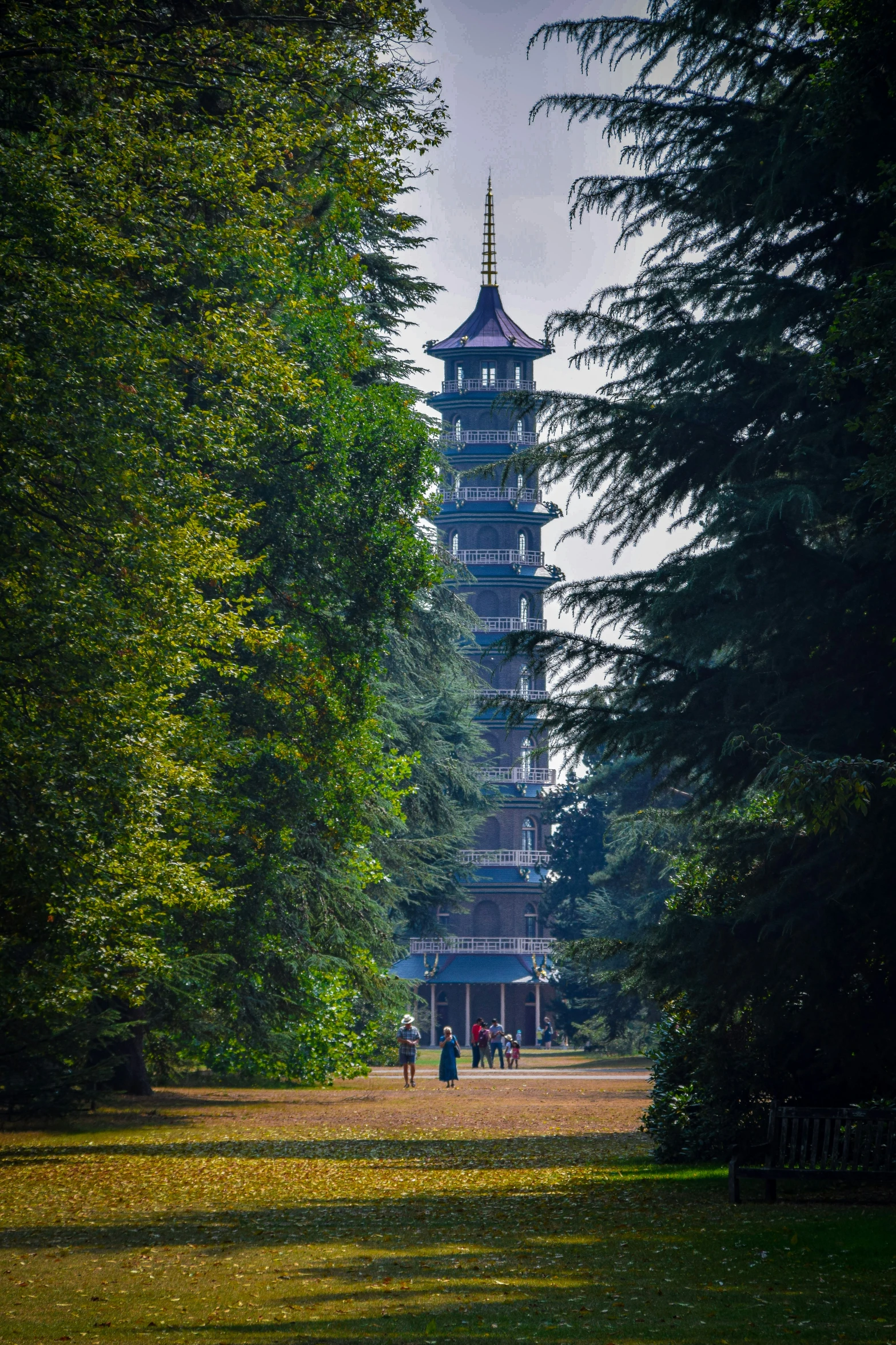 two people walk through the park near tall trees