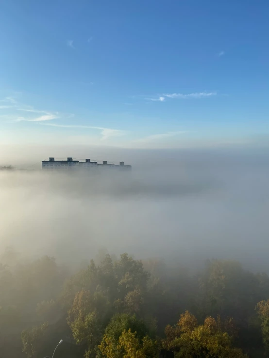 fog over trees and water in the morning