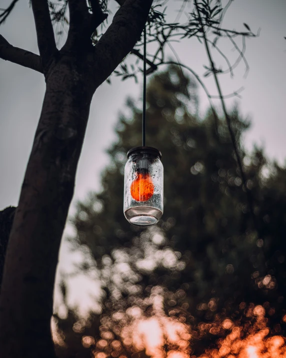 a glass jar that has red things in it