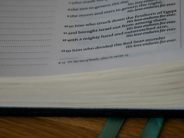 a closeup of the book with its pages pulled up