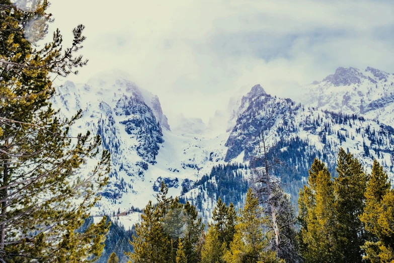 a snowy mountain covered in snow surrounded by pine trees