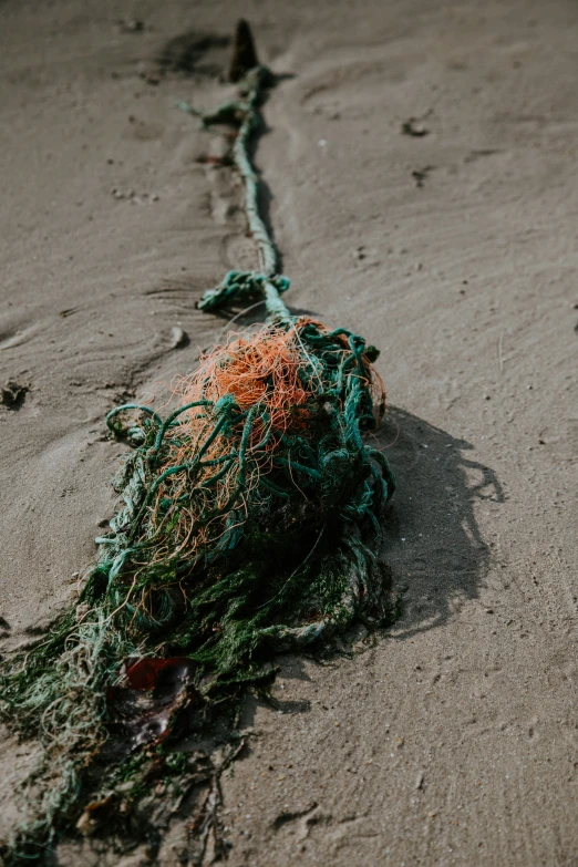 the rope is hanging down from the sand