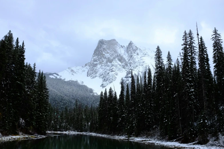 a snowy mountain, pine trees and a lake